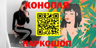 индика Кинель