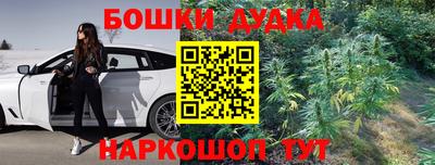 индика Кинель