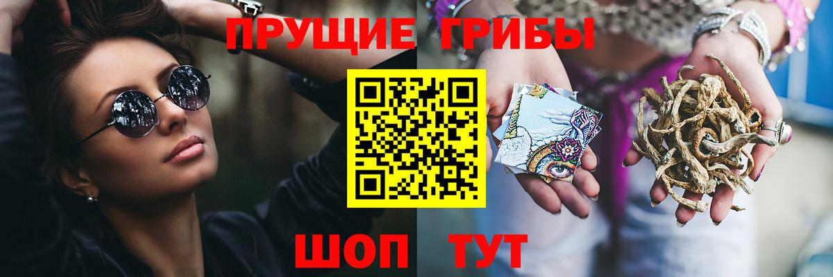 Псилоцибиновые грибы Psilocybine cubensis  Вход с VPN  Лесной  Псилоцибиновые грибы мицелий 