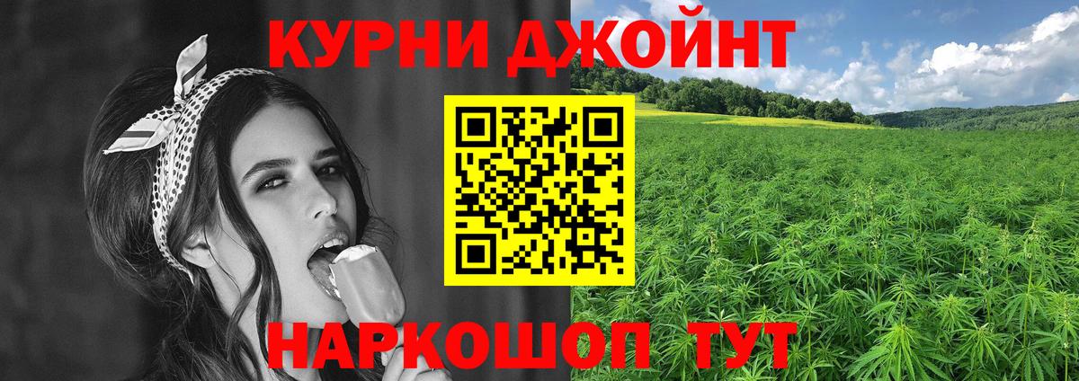Конопля план  Конопля MAZAR  Марихуана план  Лесной  Вход с VPN  МАРИХУАНА сатива 